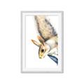 Picture of Flying Squirrel _GroupedProduct_Rectangle_Portrait_Mini_ _GroupedProduct_Rectangle_Portrait_Framed_Matted_