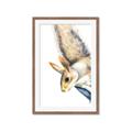 Picture of Flying Squirrel _GroupedProduct_Rectangle_Portrait_Mini_ _GroupedProduct_Rectangle_Portrait_Framed_Matted_