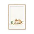 Picture of Carrot Garden Bunny _GroupedProduct_Rectangle_Portrait_Mini_ _GroupedProduct_Rectangle_Portrait_Framed_Matted_