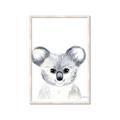 Picture of Koala Face _GroupedProduct_Rectangle_Portrait_Mini_ _GroupedProduct_Rectangle_Portrait_Framed_Matted_