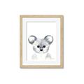 Picture of Koala Face _GroupedProduct_Rectangle_Portrait_Mini_ _GroupedProduct_Rectangle_Portrait_Framed_Matted_
