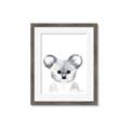 Picture of Koala Face _GroupedProduct_Rectangle_Portrait_Mini_ _GroupedProduct_Rectangle_Portrait_Framed_Matted_