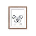 Picture of Koala Face _GroupedProduct_Rectangle_Portrait_Mini_ _GroupedProduct_Rectangle_Portrait_Framed_Matted_