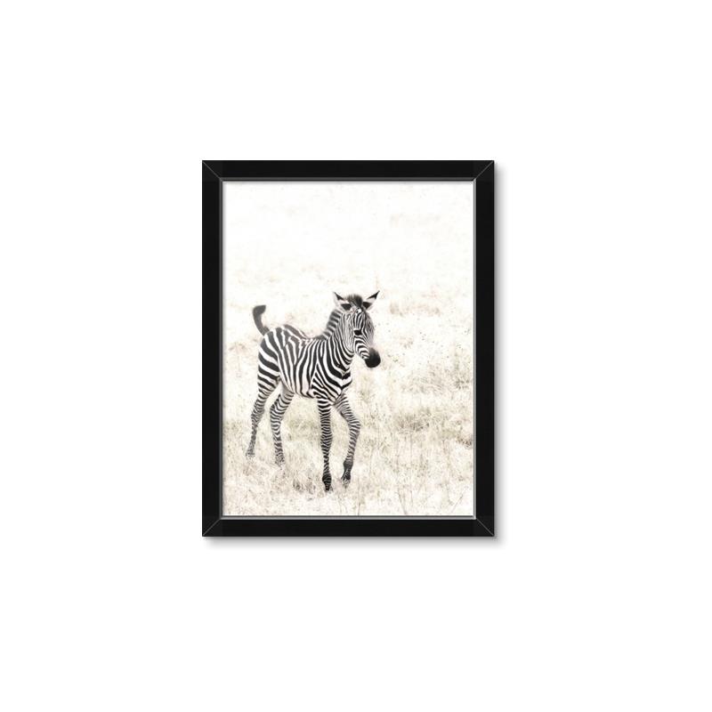 Picture of Summer Zebra _GroupedProduct_Rectangle_Portrait_Mini_ _GroupedProduct_Rectangle_Portrait_Framed_Matted_