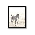 Picture of Summer Zebra _GroupedProduct_Rectangle_Portrait_Mini_ _GroupedProduct_Rectangle_Portrait_Framed_Matted_