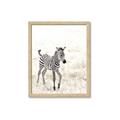 Picture of Summer Zebra _GroupedProduct_Rectangle_Portrait_Mini_ _GroupedProduct_Rectangle_Portrait_Framed_Matted_