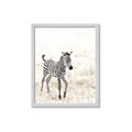 Picture of Summer Zebra _GroupedProduct_Rectangle_Portrait_Mini_ _GroupedProduct_Rectangle_Portrait_Framed_Matted_