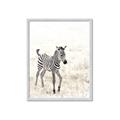 Picture of Summer Zebra _GroupedProduct_Rectangle_Portrait_Mini_ _GroupedProduct_Rectangle_Portrait_Framed_Matted_