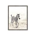 Picture of Summer Zebra _GroupedProduct_Rectangle_Portrait_Mini_ _GroupedProduct_Rectangle_Portrait_Framed_Matted_
