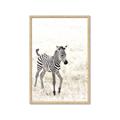 Picture of Summer Zebra _GroupedProduct_Rectangle_Portrait_Mini_ _GroupedProduct_Rectangle_Portrait_Framed_Matted_