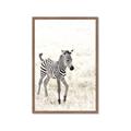 Picture of Summer Zebra _GroupedProduct_Rectangle_Portrait_Mini_ _GroupedProduct_Rectangle_Portrait_Framed_Matted_