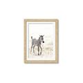 Picture of Summer Zebra _GroupedProduct_Rectangle_Portrait_Mini_ _GroupedProduct_Rectangle_Portrait_Framed_Matted_