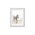 Picture of Summer Zebra _GroupedProduct_Rectangle_Portrait_Mini_ _GroupedProduct_Rectangle_Portrait_Framed_Matted_