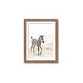 Picture of Summer Zebra _GroupedProduct_Rectangle_Portrait_Mini_ _GroupedProduct_Rectangle_Portrait_Framed_Matted_
