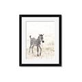Picture of Summer Zebra _GroupedProduct_Rectangle_Portrait_Mini_ _GroupedProduct_Rectangle_Portrait_Framed_Matted_