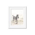 Picture of Summer Zebra _GroupedProduct_Rectangle_Portrait_Mini_ _GroupedProduct_Rectangle_Portrait_Framed_Matted_