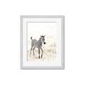 Picture of Summer Zebra _GroupedProduct_Rectangle_Portrait_Mini_ _GroupedProduct_Rectangle_Portrait_Framed_Matted_