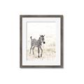 Picture of Summer Zebra _GroupedProduct_Rectangle_Portrait_Mini_ _GroupedProduct_Rectangle_Portrait_Framed_Matted_
