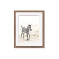 Picture of Summer Zebra _GroupedProduct_Rectangle_Portrait_Mini_ _GroupedProduct_Rectangle_Portrait_Framed_Matted_