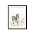 Picture of Summer Zebra _GroupedProduct_Rectangle_Portrait_Mini_ _GroupedProduct_Rectangle_Portrait_Framed_Matted_