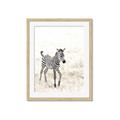 Picture of Summer Zebra _GroupedProduct_Rectangle_Portrait_Mini_ _GroupedProduct_Rectangle_Portrait_Framed_Matted_