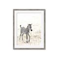 Picture of Summer Zebra _GroupedProduct_Rectangle_Portrait_Mini_ _GroupedProduct_Rectangle_Portrait_Framed_Matted_
