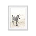 Picture of Summer Zebra _GroupedProduct_Rectangle_Portrait_Mini_ _GroupedProduct_Rectangle_Portrait_Framed_Matted_