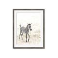 Picture of Summer Zebra _GroupedProduct_Rectangle_Portrait_Mini_ _GroupedProduct_Rectangle_Portrait_Framed_Matted_
