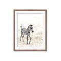 Picture of Summer Zebra _GroupedProduct_Rectangle_Portrait_Mini_ _GroupedProduct_Rectangle_Portrait_Framed_Matted_