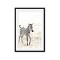 Picture of Summer Zebra _GroupedProduct_Rectangle_Portrait_Mini_ _GroupedProduct_Rectangle_Portrait_Framed_Matted_