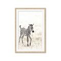 Picture of Summer Zebra _GroupedProduct_Rectangle_Portrait_Mini_ _GroupedProduct_Rectangle_Portrait_Framed_Matted_