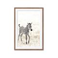 Picture of Summer Zebra _GroupedProduct_Rectangle_Portrait_Mini_ _GroupedProduct_Rectangle_Portrait_Framed_Matted_
