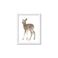 Picture of Behind Deer _GroupedProduct_Rectangle_Portrait_Mini_ _GroupedProduct_Rectangle_Portrait_Framed_Matted_