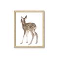 Picture of Behind Deer _GroupedProduct_Rectangle_Portrait_Mini_ _GroupedProduct_Rectangle_Portrait_Framed_Matted_