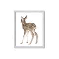 Picture of Behind Deer _GroupedProduct_Rectangle_Portrait_Mini_ _GroupedProduct_Rectangle_Portrait_Framed_Matted_