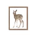 Picture of Behind Deer _GroupedProduct_Rectangle_Portrait_Mini_ _GroupedProduct_Rectangle_Portrait_Framed_Matted_