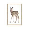 Picture of Behind Deer _GroupedProduct_Rectangle_Portrait_Mini_ _GroupedProduct_Rectangle_Portrait_Framed_Matted_