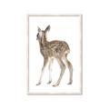 Picture of Behind Deer _GroupedProduct_Rectangle_Portrait_Mini_ _GroupedProduct_Rectangle_Portrait_Framed_Matted_