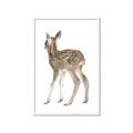 Picture of Behind Deer _GroupedProduct_Rectangle_Portrait_Mini_ _GroupedProduct_Rectangle_Portrait_Framed_Matted_