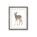Picture of Behind Deer _GroupedProduct_Rectangle_Portrait_Mini_ _GroupedProduct_Rectangle_Portrait_Framed_Matted_