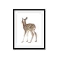 Picture of Behind Deer _GroupedProduct_Rectangle_Portrait_Mini_ _GroupedProduct_Rectangle_Portrait_Framed_Matted_