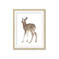 Picture of Behind Deer _GroupedProduct_Rectangle_Portrait_Mini_ _GroupedProduct_Rectangle_Portrait_Framed_Matted_