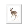 Picture of Behind Deer _GroupedProduct_Rectangle_Portrait_Mini_ _GroupedProduct_Rectangle_Portrait_Framed_Matted_