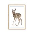 Picture of Behind Deer _GroupedProduct_Rectangle_Portrait_Mini_ _GroupedProduct_Rectangle_Portrait_Framed_Matted_
