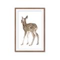 Picture of Behind Deer _GroupedProduct_Rectangle_Portrait_Mini_ _GroupedProduct_Rectangle_Portrait_Framed_Matted_