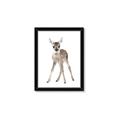 Picture of In Front Deer _GroupedProduct_Rectangle_Portrait_Mini_ _GroupedProduct_Rectangle_Portrait_Framed_Matted_