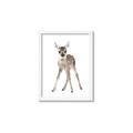 Picture of In Front Deer _GroupedProduct_Rectangle_Portrait_Mini_ _GroupedProduct_Rectangle_Portrait_Framed_Matted_