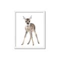 Picture of In Front Deer _GroupedProduct_Rectangle_Portrait_Mini_ _GroupedProduct_Rectangle_Portrait_Framed_Matted_