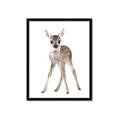Picture of In Front Deer _GroupedProduct_Rectangle_Portrait_Mini_ _GroupedProduct_Rectangle_Portrait_Framed_Matted_