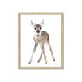 Picture of In Front Deer _GroupedProduct_Rectangle_Portrait_Mini_ _GroupedProduct_Rectangle_Portrait_Framed_Matted_